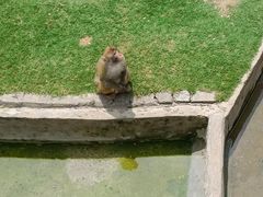 -盐城大丰港动物园