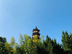 -阿育王寺