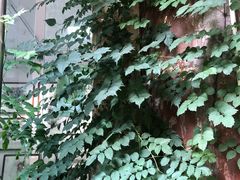 -三峡古玩城(泰古广场店)