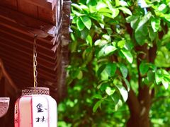 -杭州半山国家森林公园