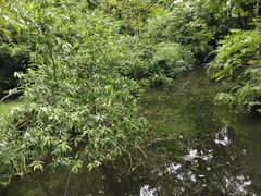 -西湖天地