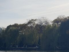 -西湖游船
