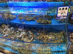 水产区-驻海渔市(置信店)