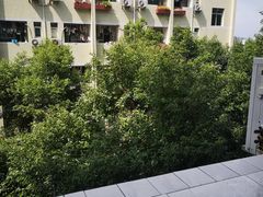 -洪霞餐馆