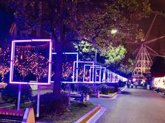 -锦江乐园舞狸花花游园会(夜场专享)