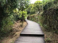 -大罗山风景区