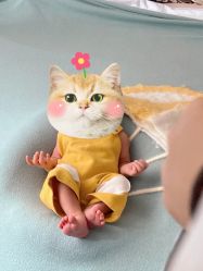 -西瓜庄园儿童摄影