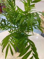 -痘院长·祛痘·皮肤管理