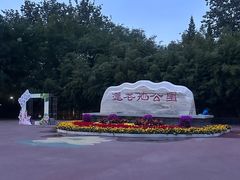 -莲花池公园