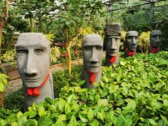 -南宫五洲植物乐园