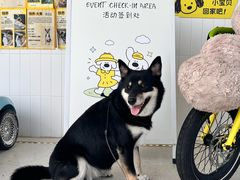 -omitofee咖啡(水泽店)