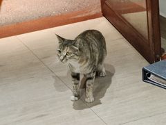 -阿斯牛牛十二餐厅•四季餐厅(民族大道店)