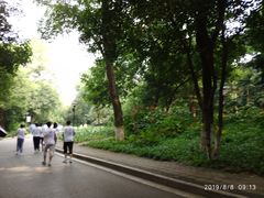 -雀儿山公园
