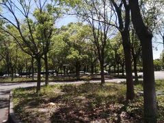 -安飞驰驾校·学车连锁(金高店)
