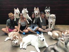 -TrueLove @ Neverland (Husky Cafe)