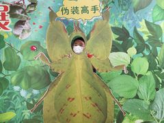 -上海昆虫博物馆