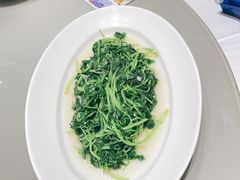 -红城阁·上海味道(四平路店)