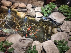 -清真·京华源铜锅涮肉(丰庆店)