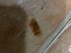 -嘉洲酒店(梅州梅县机场店)