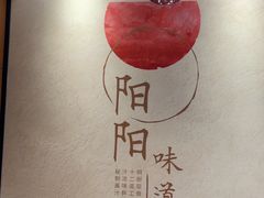 -阳阳中国饭(北京荟聚店)