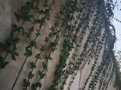 -汉景帝阳陵博物院