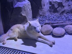 -上海海昌海洋公园