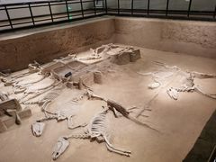 -洛阳周王城天子驾六博物馆