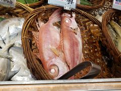 -吴记富苑(朝阳店)