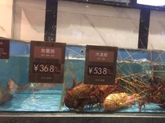 -徐记海鲜(开福寺|伍家岭店)