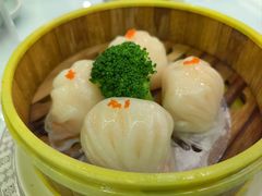 -广东大排档(国奥店)