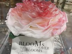 -Olé精品超市(广州太古汇店)