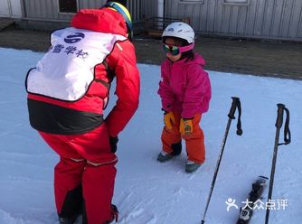这几个滑雪超帅气的小朋友真让人佩服啊!