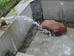 -三亚珠江南田温泉度假区