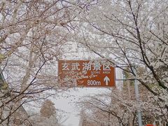 -鸡鸣寺