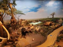 -陕西自然博物馆