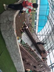 -可可天空农场(东部新城银泰店)