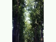 android_upload_pic-好利来(梅江永旺店)