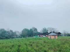 -中华茉莉园