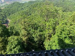 -云碧峰国家森林公园