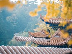 -遵化市禅林寺古银杏风景园