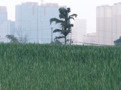 -三圣花乡旅游区