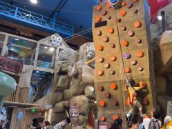 -卡通尼·Safari非洲探索乐园·生日会(金桥国际商业广场店)