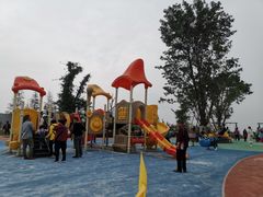 -铁山坪森林公园