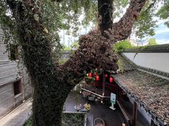 -星巴克(福州三坊七巷店)