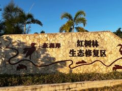 -宝安西湾红树林湿地公园