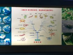 -上海昆虫博物馆