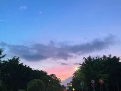-杨梅坑