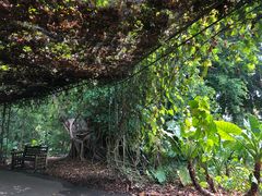 -植物园哈利亚餐厅