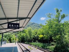 -黄金寨原生态旅游区