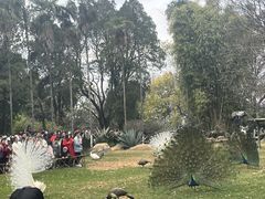 -昆明动物园